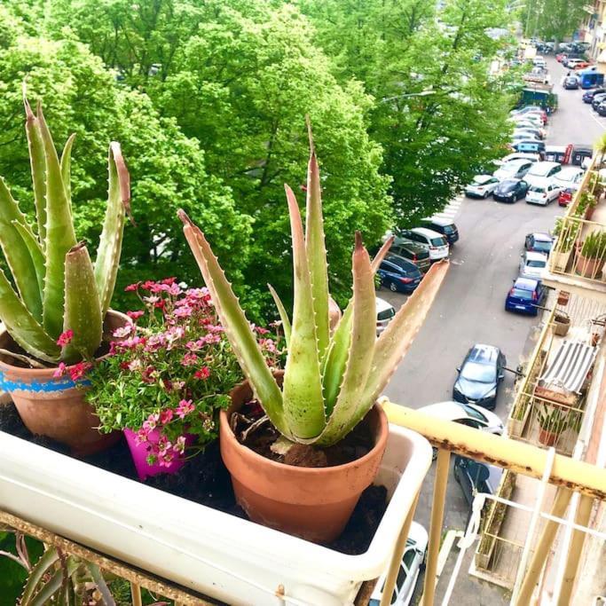 Appartement La Tua Casa Romana Rome